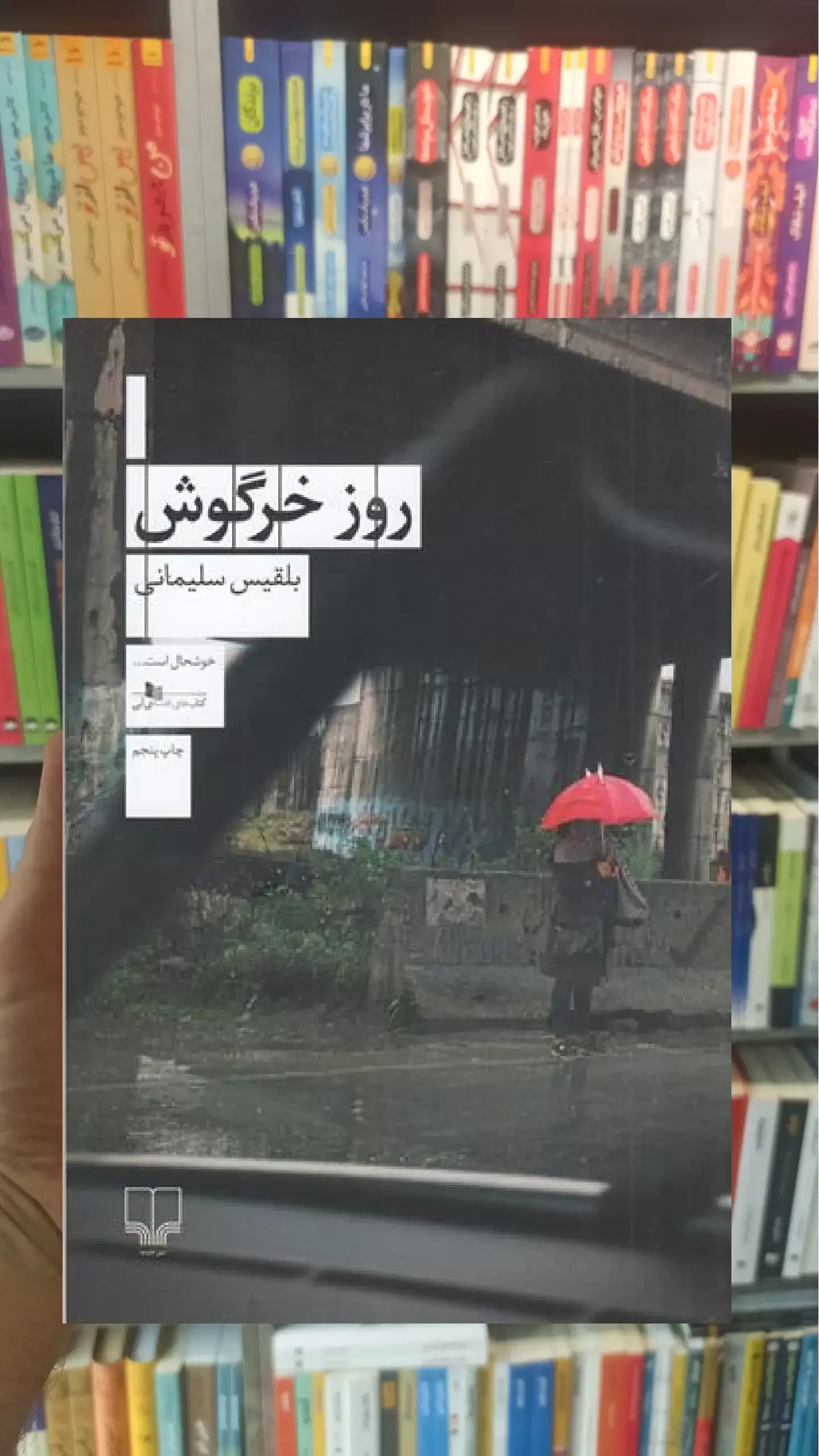 روز خرگوش چشمه