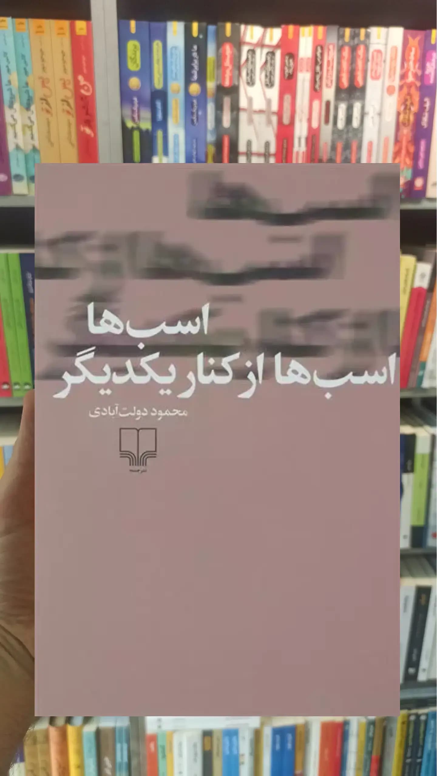 اسب ها اسب ها از کنار یکدیگر چشمه