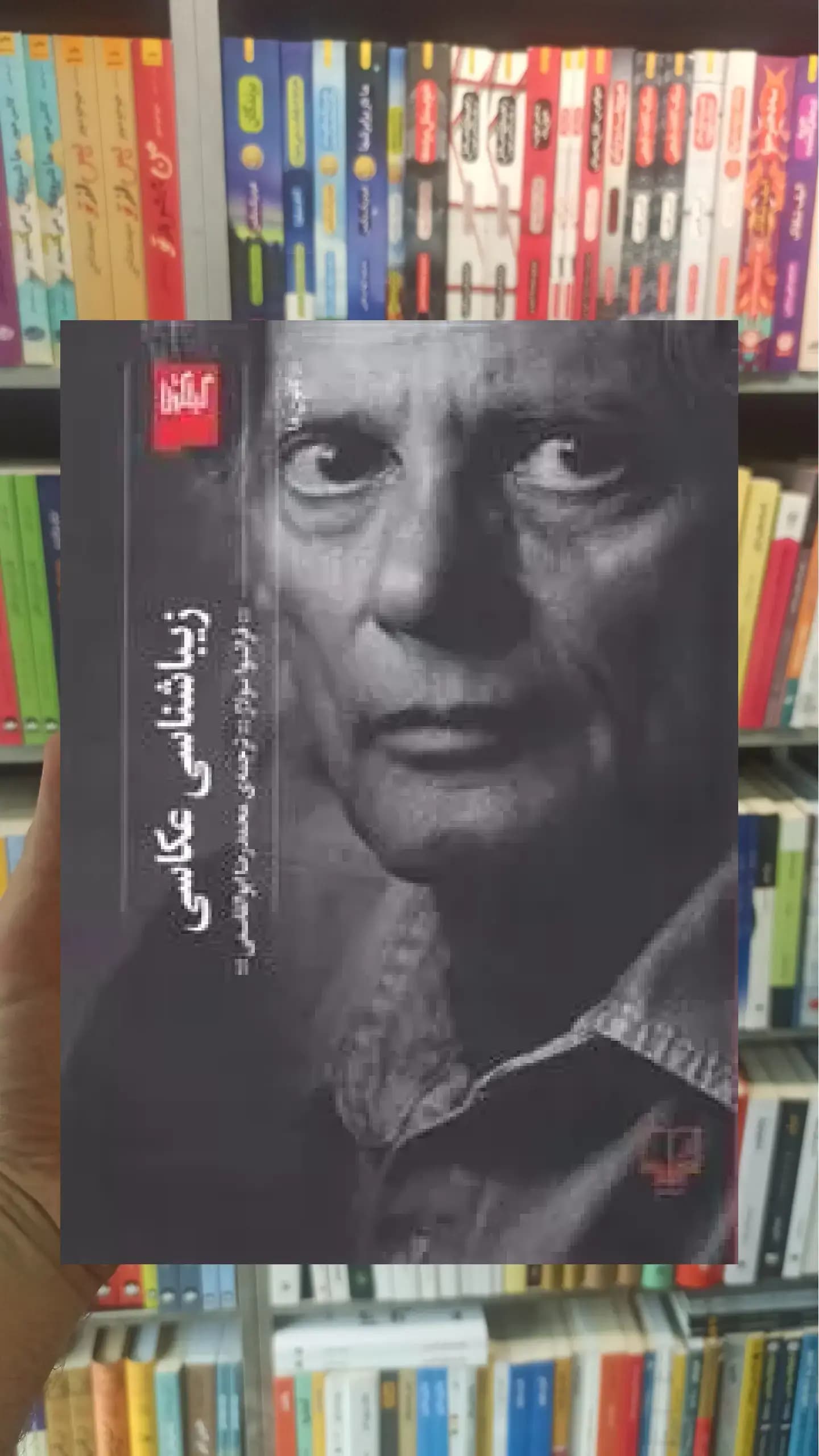 زیباشناسی عکاسی چشمه