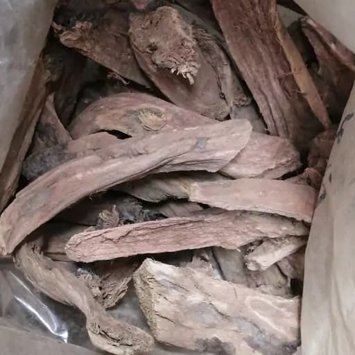 ریوند چینی کاهنده قند و چربی خون 75گرم