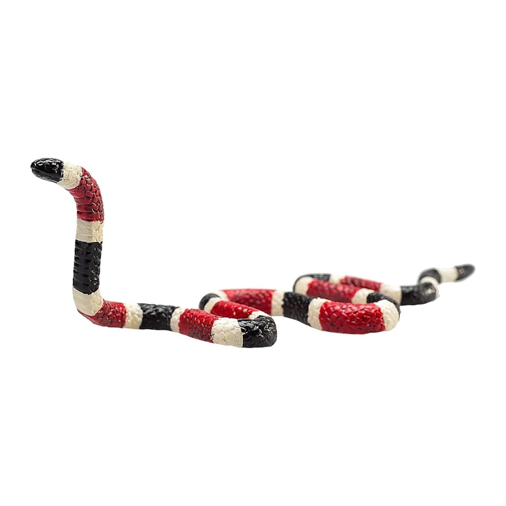 مار مرجانی 387251 Mojo
