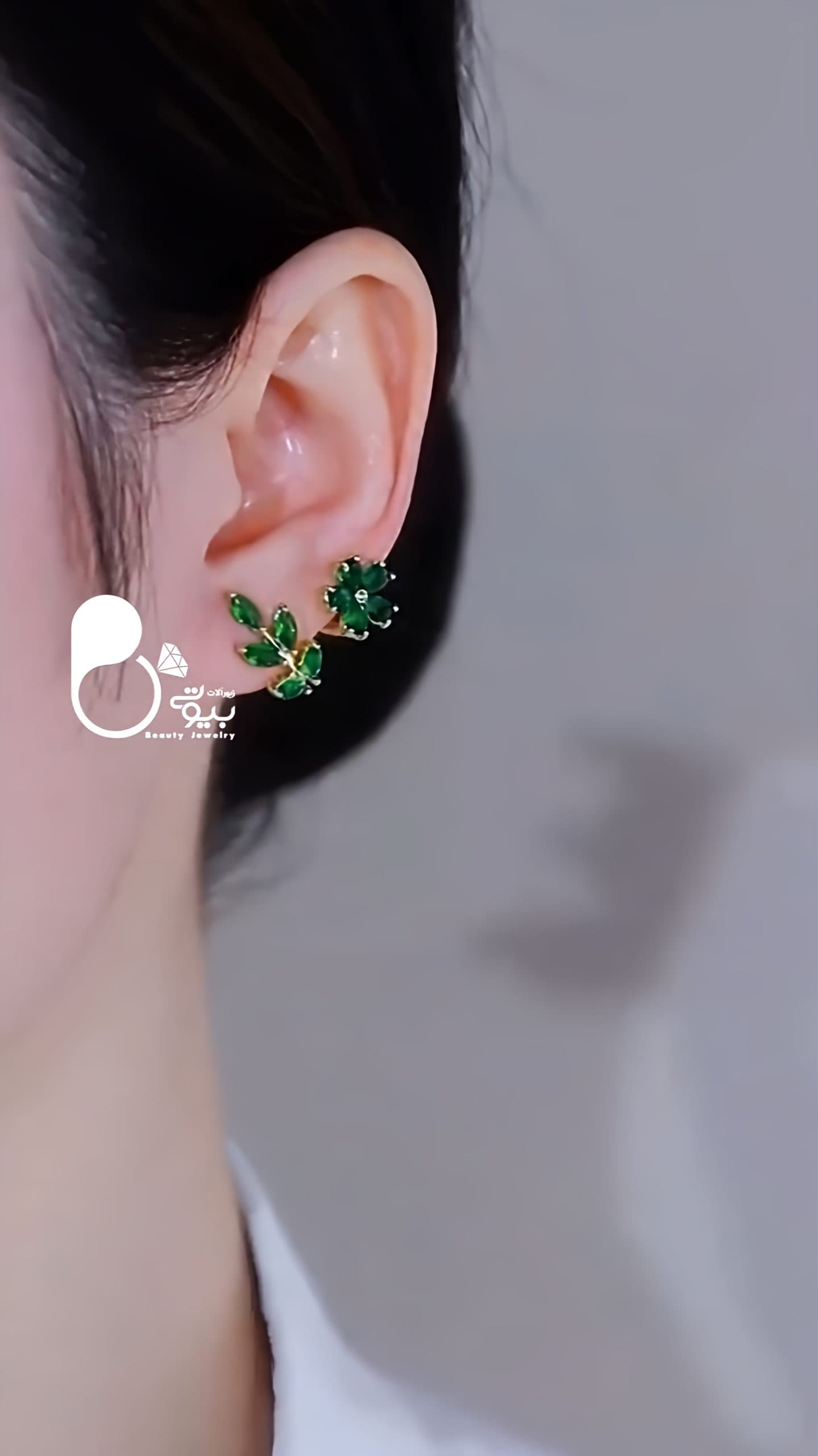 گوشواره سیمین — تصویر ۲