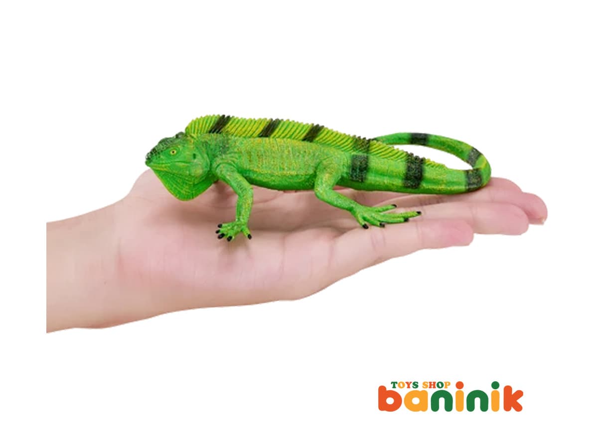 موجو فان ایگوآنا 381095 Mojo Iguana — تصویر ۴