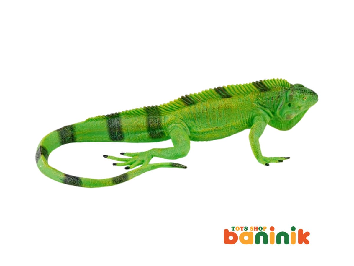 موجو فان ایگوآنا 381095 Mojo Iguana — تصویر ۲