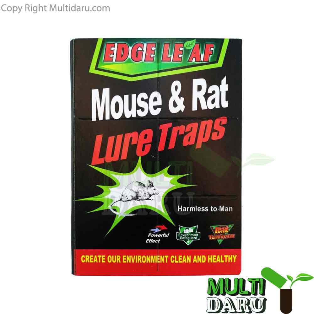 تله چسب موش کتابى سوپر چسب