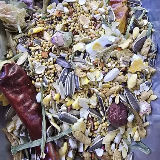 غذای عروس هلندی کوتوله طوطیسانان مرغ عشق مخلوط بسته 500گرمی (ارسال پس کرایه )