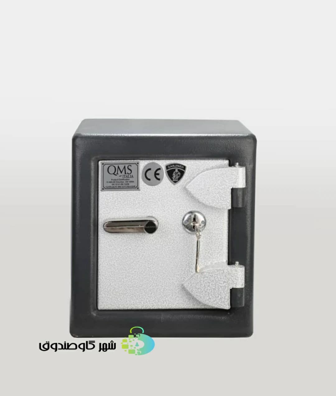 گاوصندوق گنجینه G100K