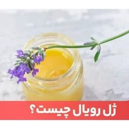 ژل رویال شفابخش — تصویر ۲