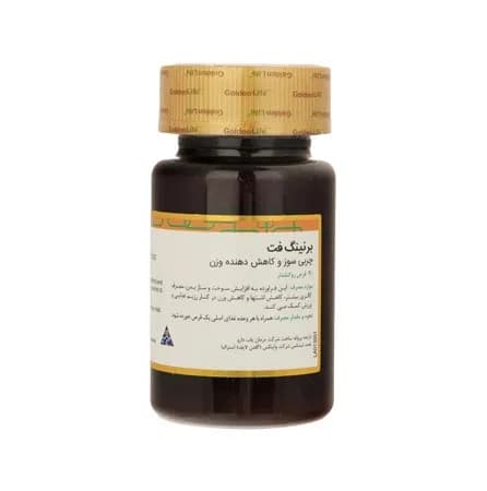 قرص لاغری برنینگ فت برند گلدن لایف 30 عددی