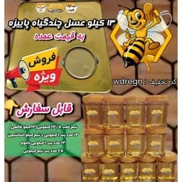 عسل چندگیاه پاییزه فریدن.دشتی.نیم حلب 13/5 کیلو به قیمت عمده (خرید مستقیم از زنبوردار) ارسال رایگان — تصویر ۲