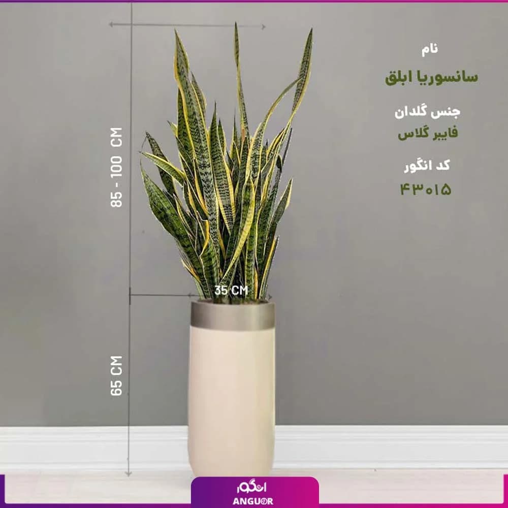 گلدان هدیه لوکس با سانسوریا ابلق فایبر گلاس — تصویر ۴