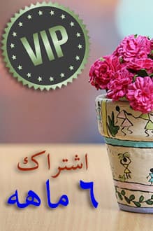 طرح شش ماهه