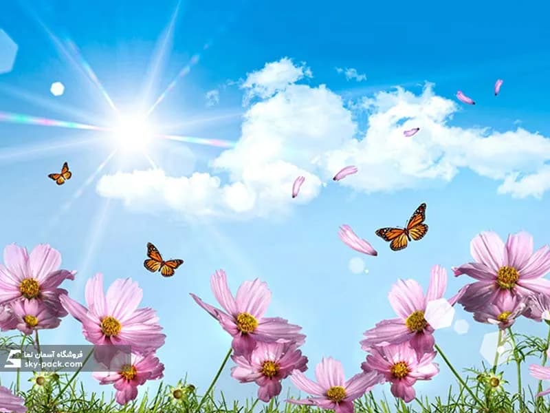 آسمان مجازی اتاق کودک طرح پروانه