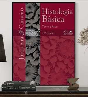 دانلود کتاب Histologia Básica Luiz Carlos Uchoa Junqueira José Carneiro