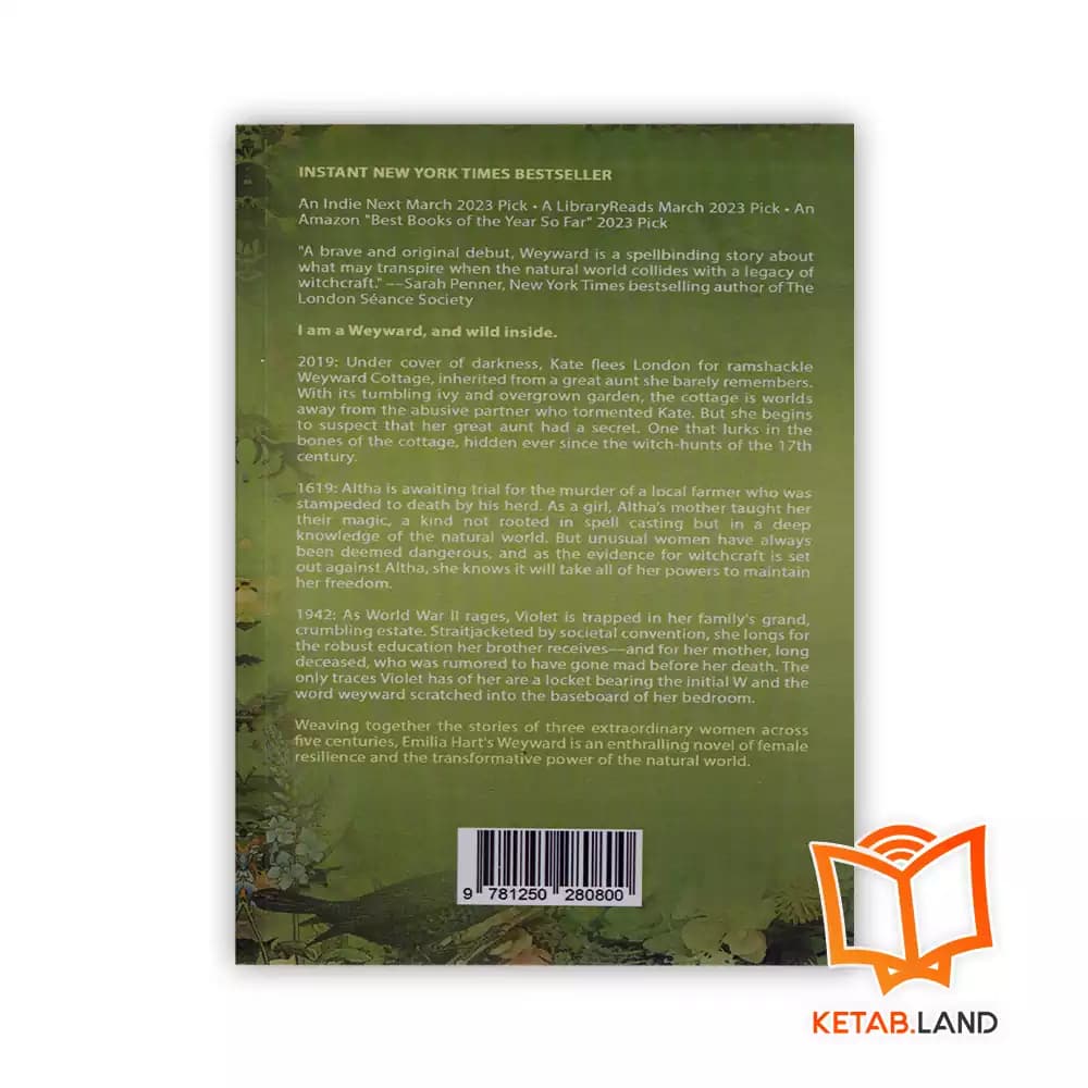 کتاب Weyward — تصویر ۲