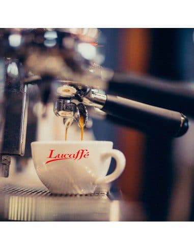 دانه قهوه لوکافه بلوکافه 250 گرمی Lucaffe Blucaffe coffee Bean — تصویر ۲