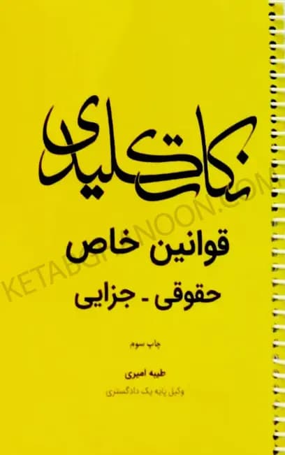 کتاب نکات کلیدی قوانین خاص حقوقی و جزایی چتردانش