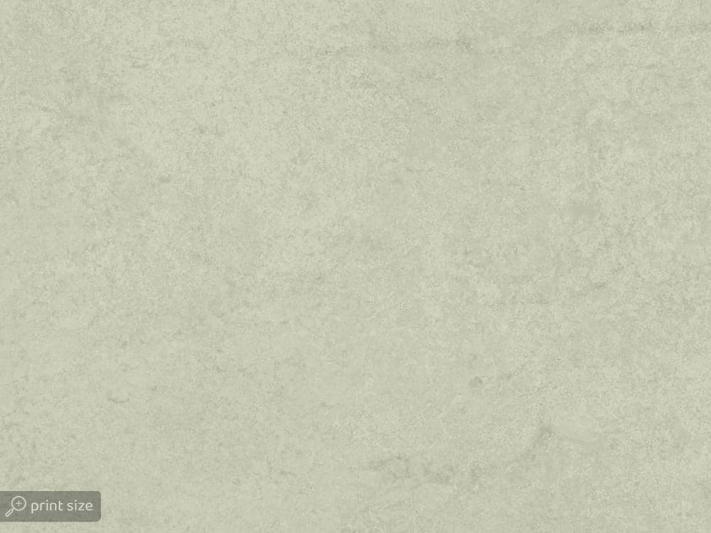 پوستر دیواری برگ و گنجشگ W10218000 — تصویر ۴