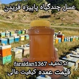 عسل چندگیاه پاییزه فریدن 2کیلویی دشتی اصل(ارسال رایگان با خرید 2م از غرفه) — تصویر ۲