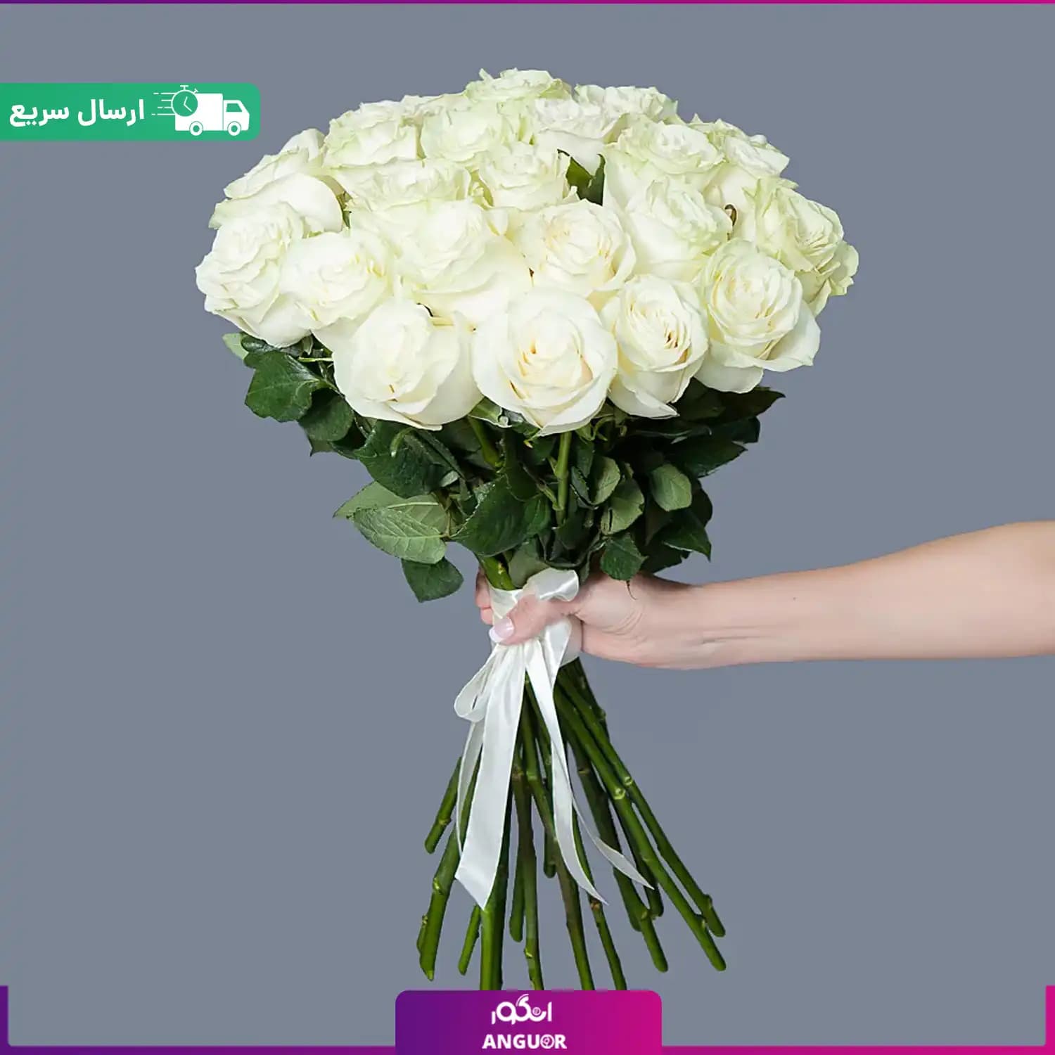 دسته گل 25 شاخه رز سفید ممتاز (رز هلندی) — تصویر ۲