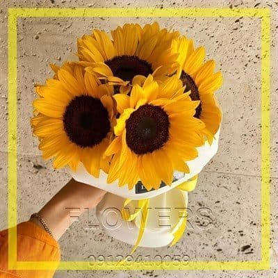 گلفروشی نزدیک دفتر خدمات قضایی خیابان طالقانی