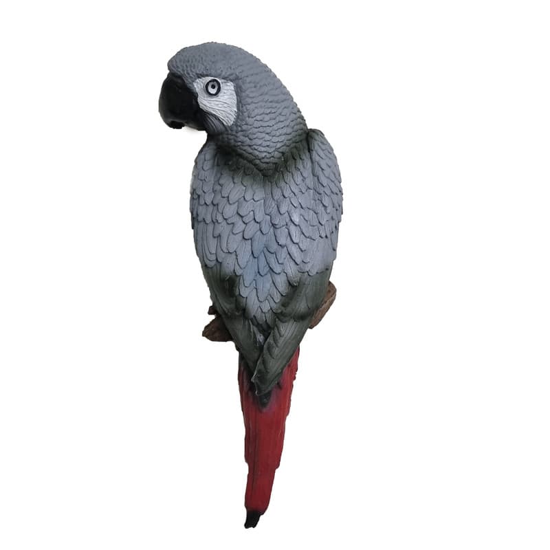 دیوارکوب طوطی کاسکو