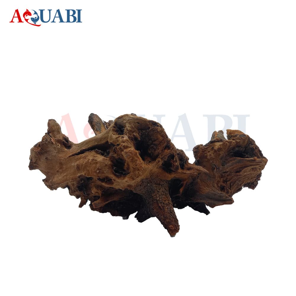 تنه چوب آبنوس AB-63 — تصویر ۴