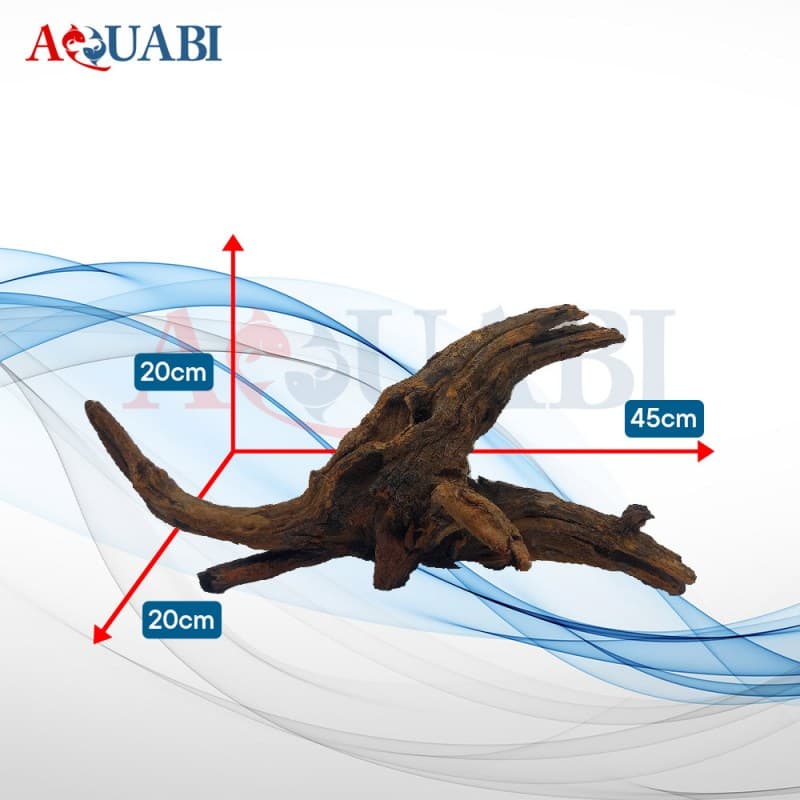 تنه چوب آبنوس AB-57