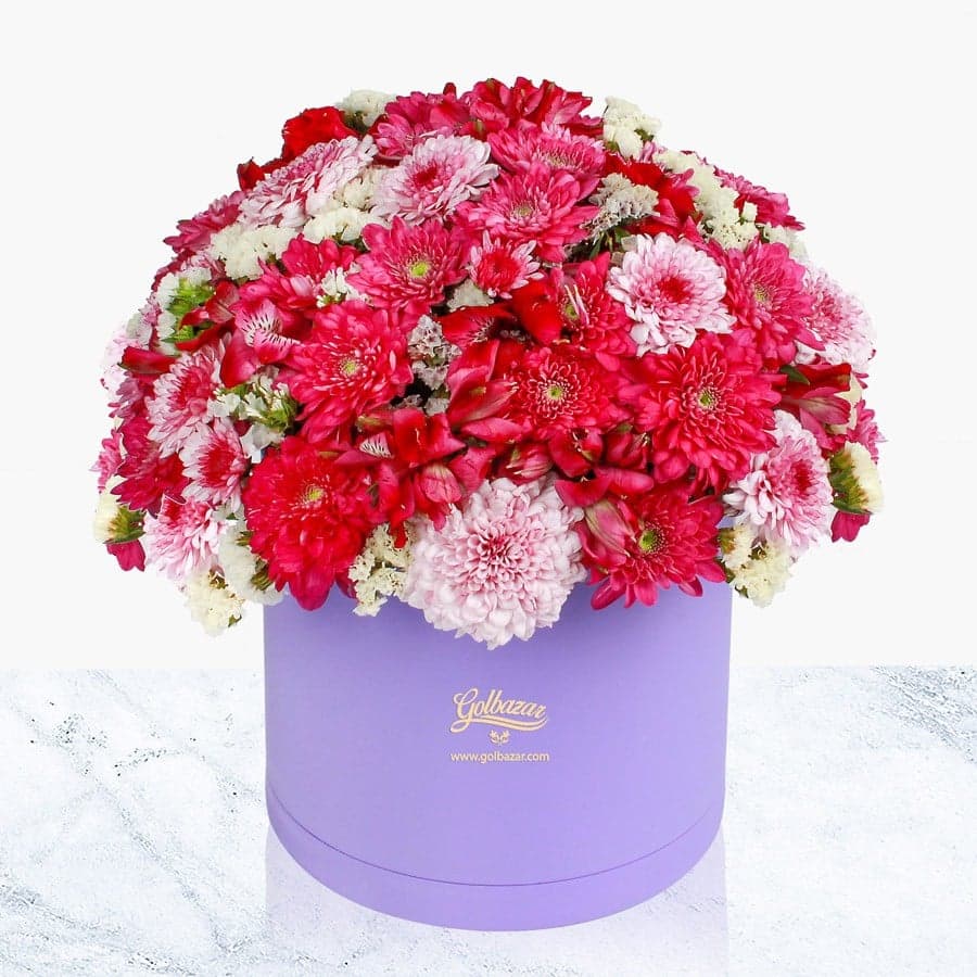 کالر باکس بنفش