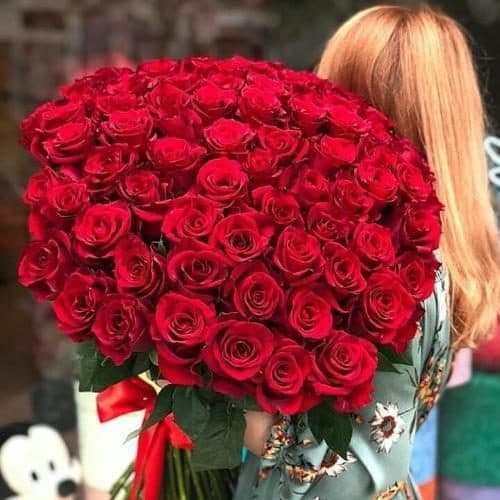 دسته گل رز قرمز برای پروفایل 6232