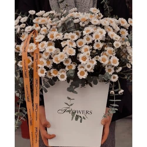 گل فروشی محدوده کلینیک دندانپزشکی در غرب تهران t3911