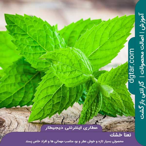آموزش کامل خواص نعنا خشک + خرید اینترنتی — تصویر ۶