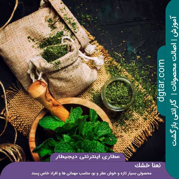 آموزش کامل خواص نعنا خشک + خرید اینترنتی — تصویر ۵