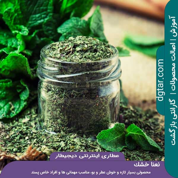 آموزش کامل خواص نعنا خشک + خرید اینترنتی — تصویر ۲