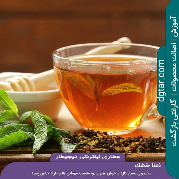 آموزش کامل خواص نعنا خشک + خرید اینترنتی — تصویر ۳
