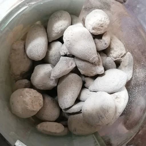 حجرالیهود 75 گرم — تصویر ۲