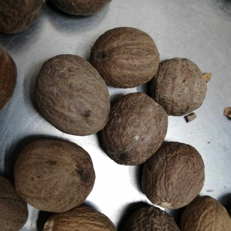 جوز هندی درجه یک (37 گرمی) — تصویر ۵