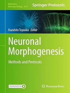 دانلود کتاب Neuronal Morphogenesis: Methods and Protocols