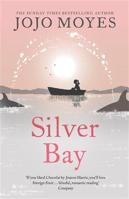 کتاب انگليسی Silver Bay – Full Text