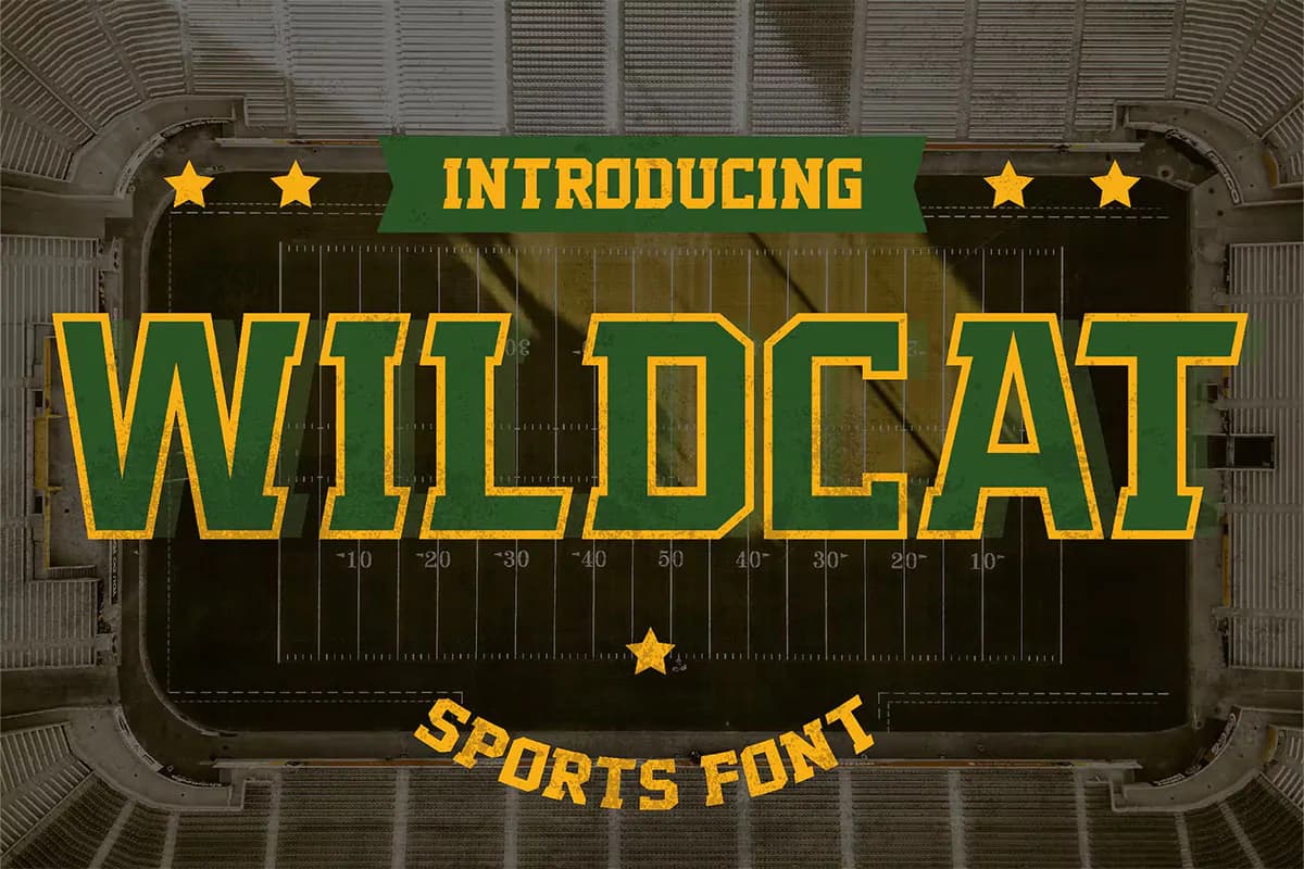تایپ فیس ورزشی Wildcat