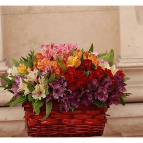 دسته گل برای دفتر اسناد رسمی 1333 سلسبیل شمالی 100a2670