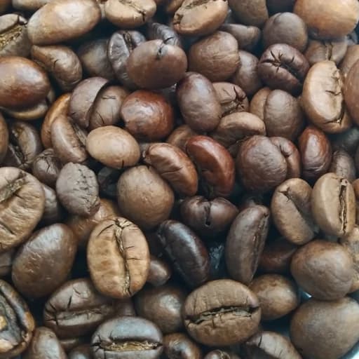 قهوه دان میکس 70/30 (5کیلو)