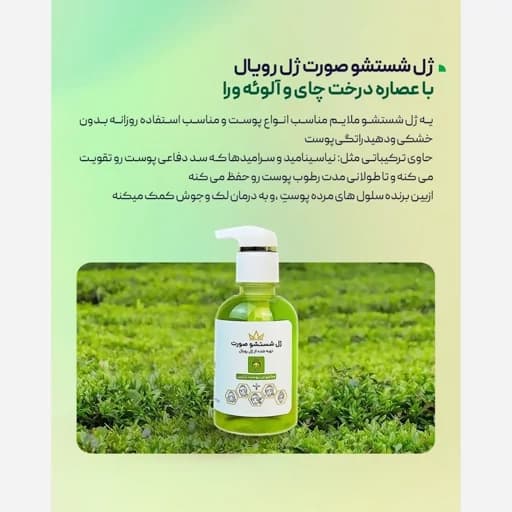 ژل شستشو صورت رویال (مخصوص پوست نرمال و ترکیبی) — تصویر ۳