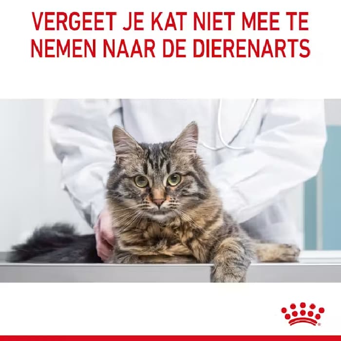 غذا خشک گربه بالغ رویال کنین مدل هیربال طعم مرغ وزن 2 کیلوگرم Royal Canin Hairball — تصویر ۷