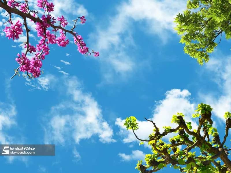 آسمان مجازی طرح درختان طبیعی سبز — تصویر ۲