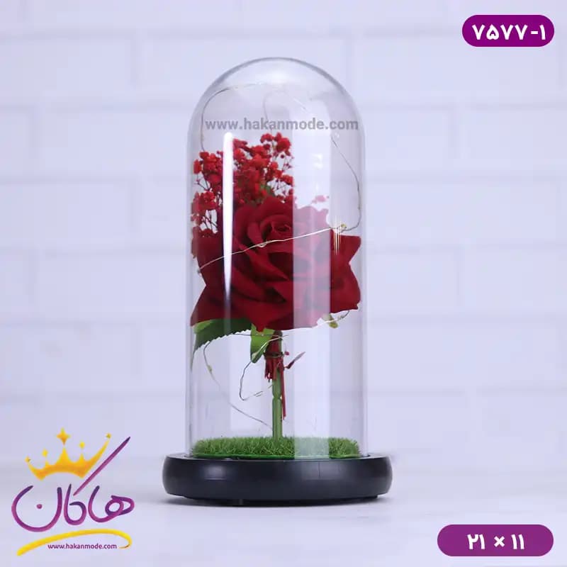 حباب شیشه ای چراغ دار گل قرمز همراه با کابل 7577/1