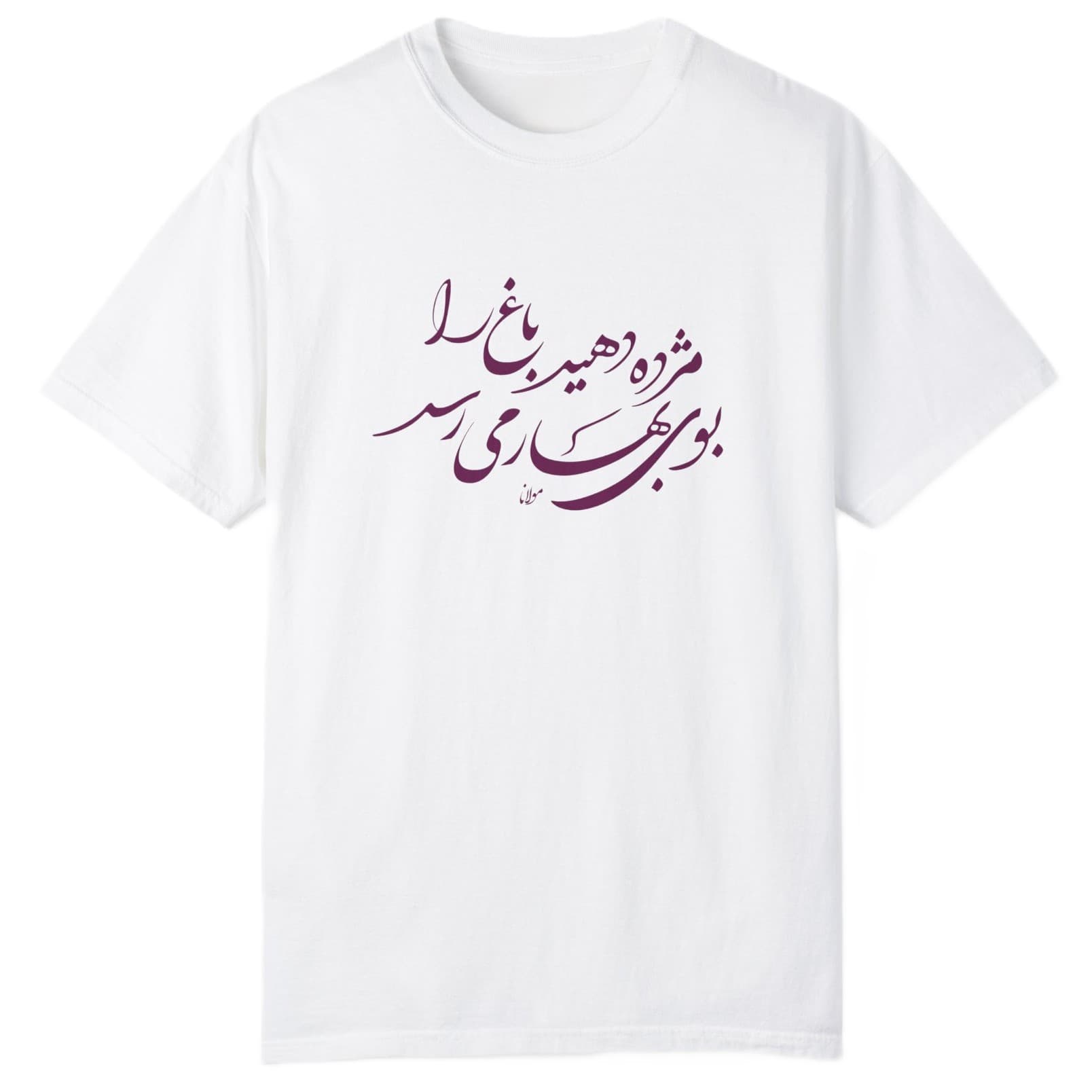 تی شرت آستین کوتاه پسرانه مدل نوروزی مژده دهید باغ را — تصویر ۲