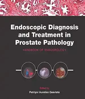 دانلود کتاب Endoscopic Diagnosis and Treatment in Prostate Pathology. Handbook of Endourology – تشخیص و درمان آندوسکوپی در آسیب شناسی…