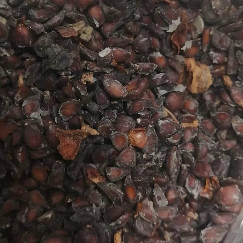 به دانه اعلا 10گرم