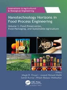 دانلود کتاب Nanotechnology Horizons in Food Process Engineering